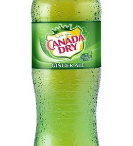 REFRESCO GINGER ALE CANADA DRY 1  LT