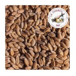 TRIGO ENTERO NATURAL 500 G